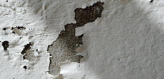 ¿Por qué los oxidantes para concreto son mejor que la pintura?